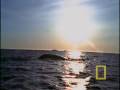 boreal_en_Groenlandia_video