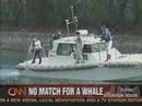 cachalote_vs_pescadores_video